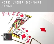 Hope under Dinmore  bingo