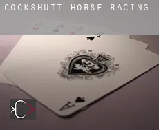 Cockshutt  horse racing