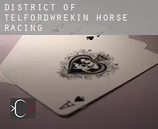 District of Telford and Wrekin  horse racing
