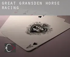 Great Gransden  horse racing
