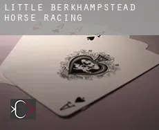 Little Berkhampstead  horse racing
