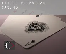 Little Plumstead casino