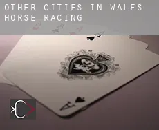 Other cities in Wales  horse racing
