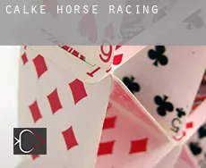 Calke  horse racing