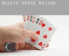 Buckie  horse racing