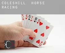 Coleshill  horse racing