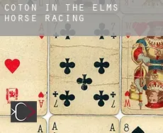 Coton in the Elms  horse racing