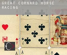 Great Cornard  horse racing