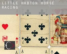Little Habton  horse racing