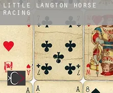 Little Langton  horse racing