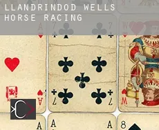 Llandrindod Wells  horse racing