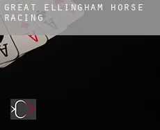 Great Ellingham  horse racing