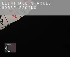 Leinthall Starkes  horse racing