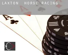 Laxton  horse racing