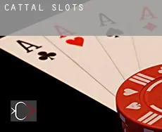 Cattal  slots