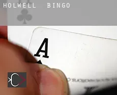 Holwell  bingo