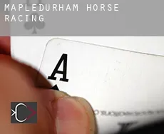 Mapledurham  horse racing