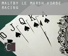 Maltby le Marsh  horse racing