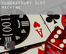 Congresbury  slot machine