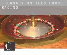 Thornaby  horse racing