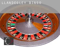 Llandegley bingo