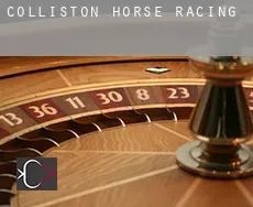 Colliston  horse racing