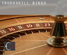 Trudoxhill  bingo