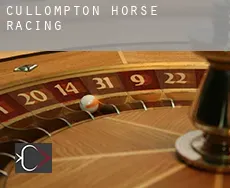 Cullompton  horse racing