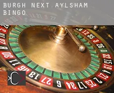 Burgh next Aylsham  bingo