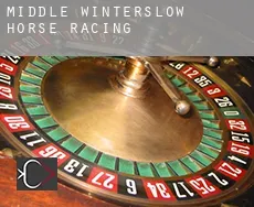 Middle Winterslow  horse racing