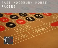 East Woodburn  horse racing