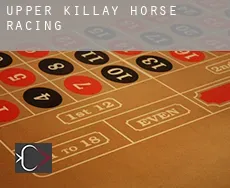 Upper Killay  horse racing