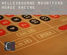 Wellesbourne Mountford  horse racing