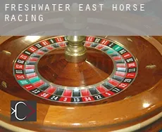 Freshwater East  horse racing
