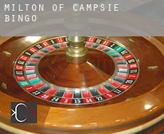 Milton of Campsie  bingo