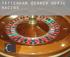 Tattenham Corner  horse racing