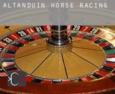 Altanduin  horse racing