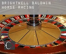 Brightwell Baldwin  horse racing
