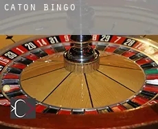 Caton  bingo