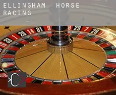 Ellingham  horse racing