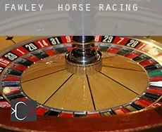 Fawley  horse racing