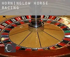Horninglow  horse racing