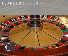 Llanbedr  bingo