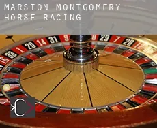 Marston Montgomery  horse racing