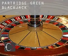 Partridge Green  blackjack