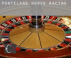 Ponteland  horse racing
