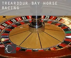 Trearddur Bay  horse racing