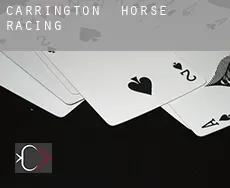 Carrington  horse racing