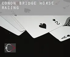 Conon Bridge  horse racing