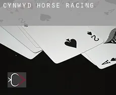 Cynwyd  horse racing